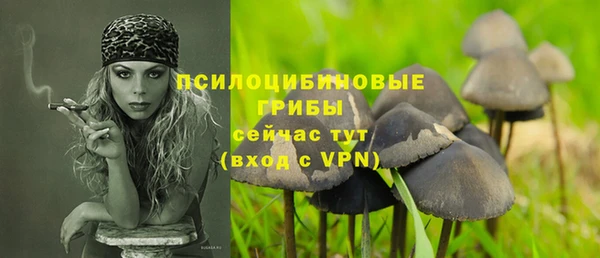 молекула духа Алексин