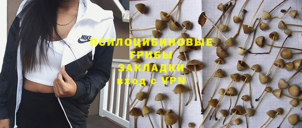 гидропоника Алзамай